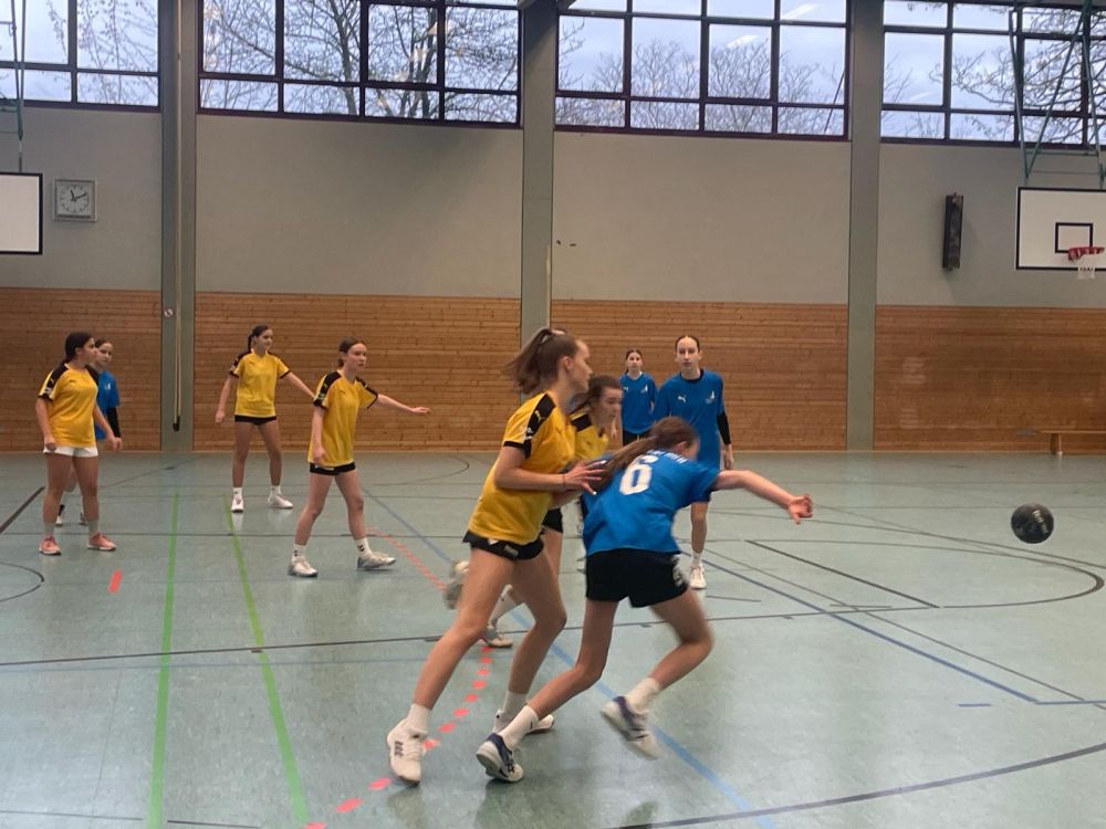 Handballerinnen des BBR